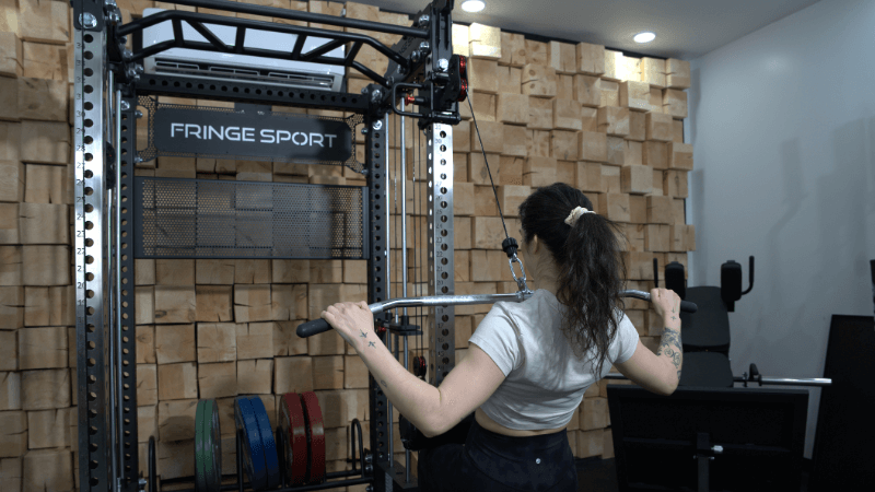 Fringe Sport Dane 2.0 Review (2026): Is This Updated Functional Trainer Still High-Value?